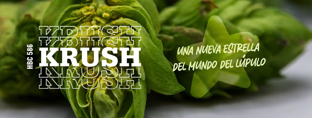 banner-krush