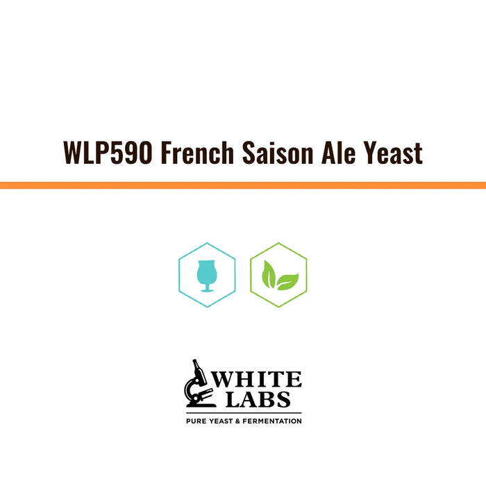 WLP590 | Levadura French Saison Ale Yeast