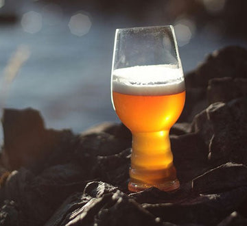 IPA DAY ¿Qué es y cómo surge esta fecha? - Bucarest. Ser único, Ser Craft