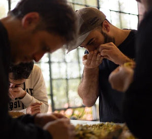 La Ciencia del Lúpulo: Una guía esencial para cerveceros - Bucarest. Ser único, Ser Craft