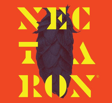 Lúpulo Nectaron: el tesoro frutal de NZ que revoluciona la cerveza artesanal en Argentina - Bucarest. Ser único, Ser Craft