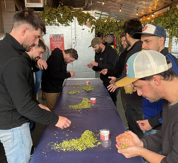 Mirando hacia el futuro: El lúpulo experimental - Bucarest. Ser único, Ser Craft