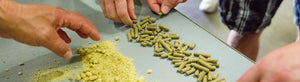 pellets-lupulo