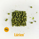 Indie Hops - Lórien®