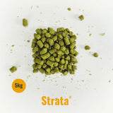 Indie Hops - Strata