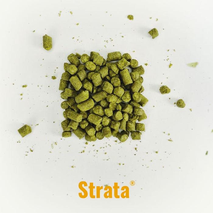 Indie Hops - Strata®
