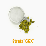 Indie Hops - Strata® CGX