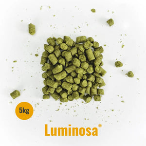 Indie Hops - Luminosa - Bucarest. Ser único, Ser Craft