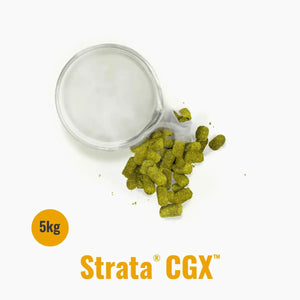 Indie Hops - Strata® CGX - Bucarest. Ser único, Ser Craft