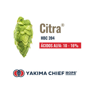 Lúpulo Citra YCH 5kg - Bucarest. Ser único, Ser Craft