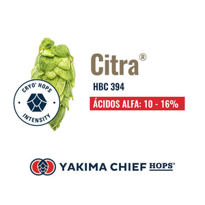 Lúpulo Cryo Citra YCH 454g - Bucarest. Ser único, Ser Craft