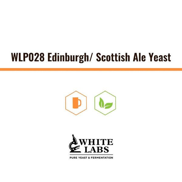WLP028 | Levadura Edinburgh Scottish Ale Yeast - Bucarest. Ser único, Ser Craft