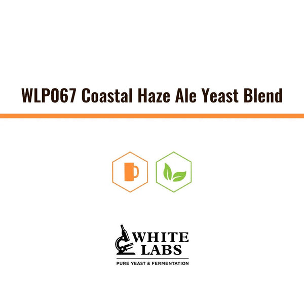 WLP067 | Levadura Coastal Haze Ale Yeast Blend - Bucarest. Ser único, Ser Craft