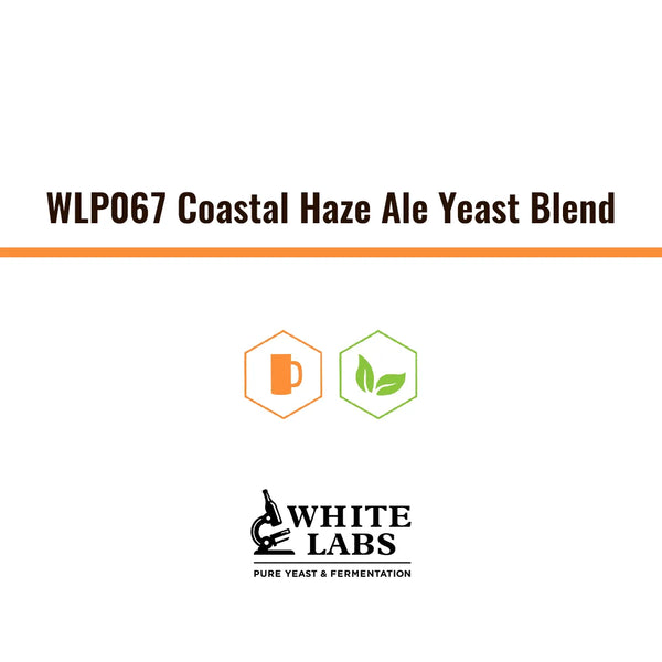 WLP067 | Levadura Coastal Haze Ale Yeast Blend