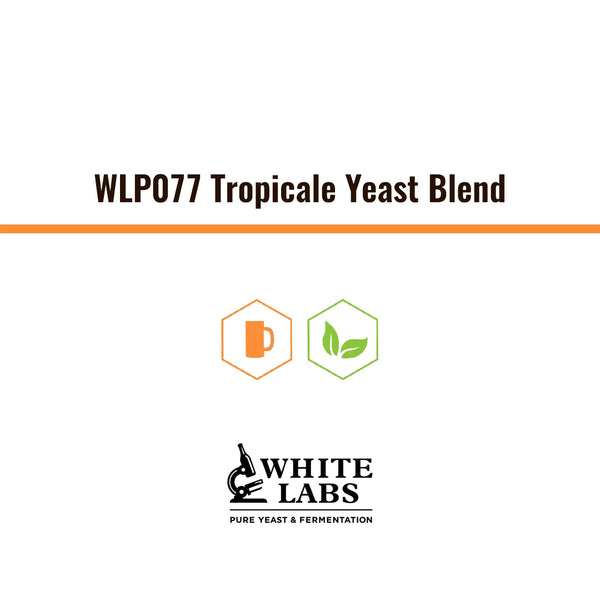 WLP077 | Levadura Tropicale Yeast Blend