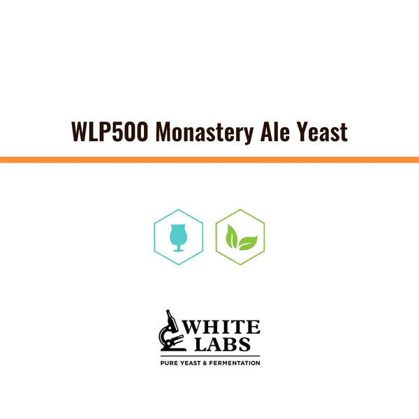 WLP500 | Levadura Monastery Ale Yeast
