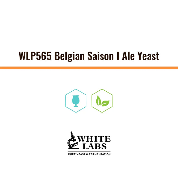 WLP565 | Levadura Belgian Saison I Yeast