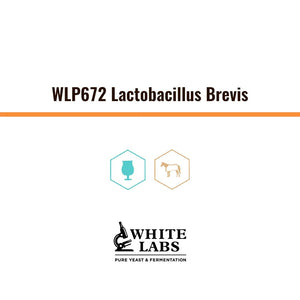 WLP672 | Levadura Lactobacillus Brevis - Bucarest. Ser único, Ser Craft