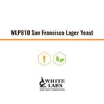 WLP810 | Levadura San Francisco Lager Yeast