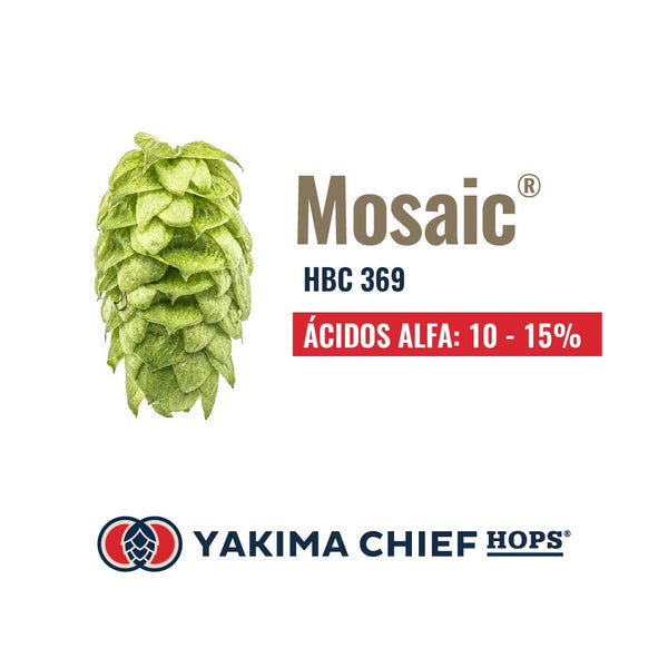 YCH | Lúpulo Mosaic Brand 5Kg. Intensos y complejos aromas y sabores - Bucarest. Ser único, Ser Craft